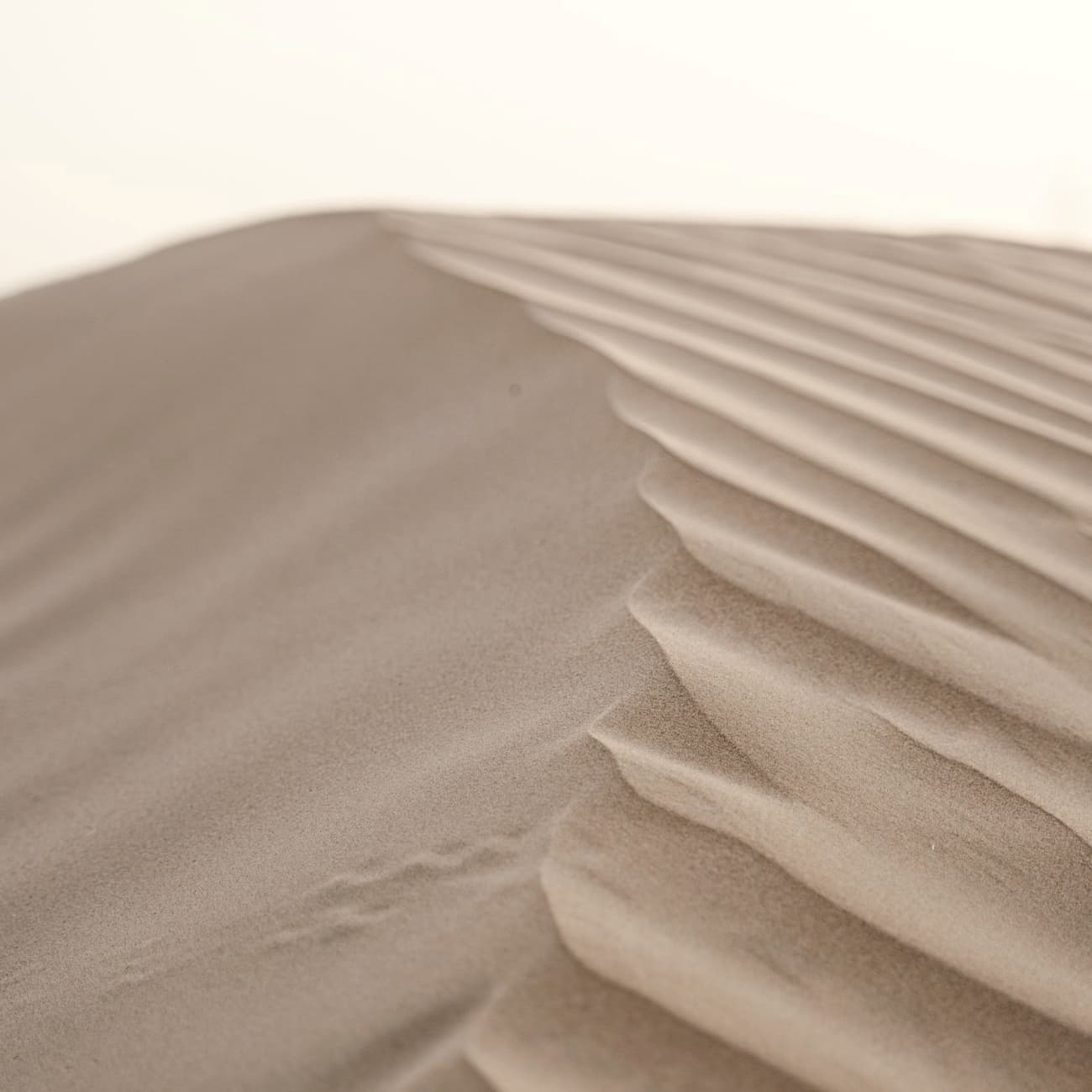 Soft ridge of pale sand against a plain sky