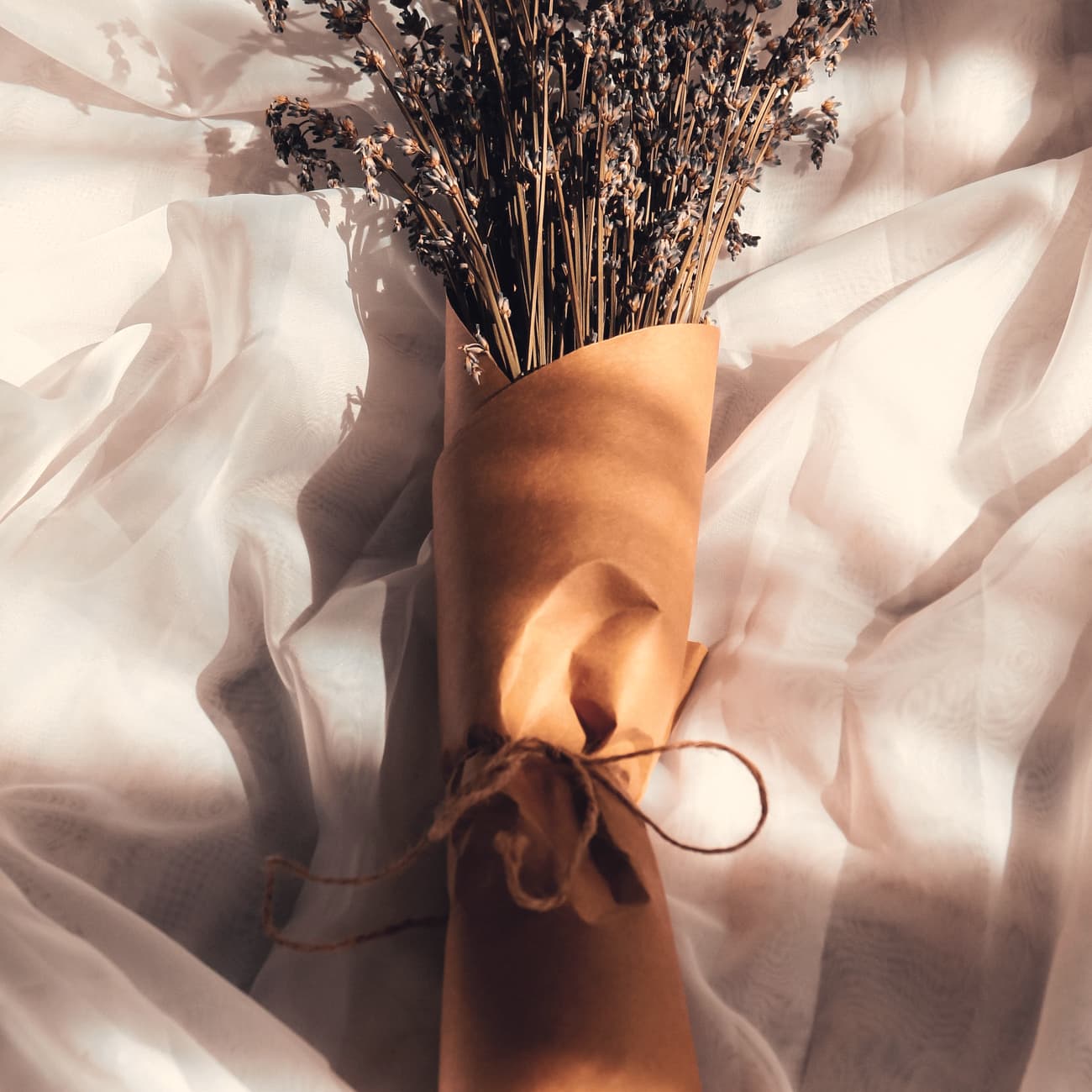 Dried stems wrapped in paper, resting on white cloth